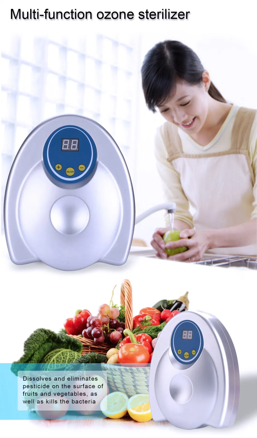 Ozone Sterilizer Vegetables Fruits Meat Water Air Purifier Medical Dental Ozone Cleaner